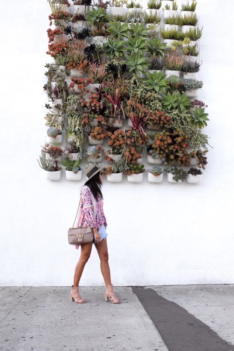 Most Instagram Worthy Spots in San Diego Travel Guide _Pigment