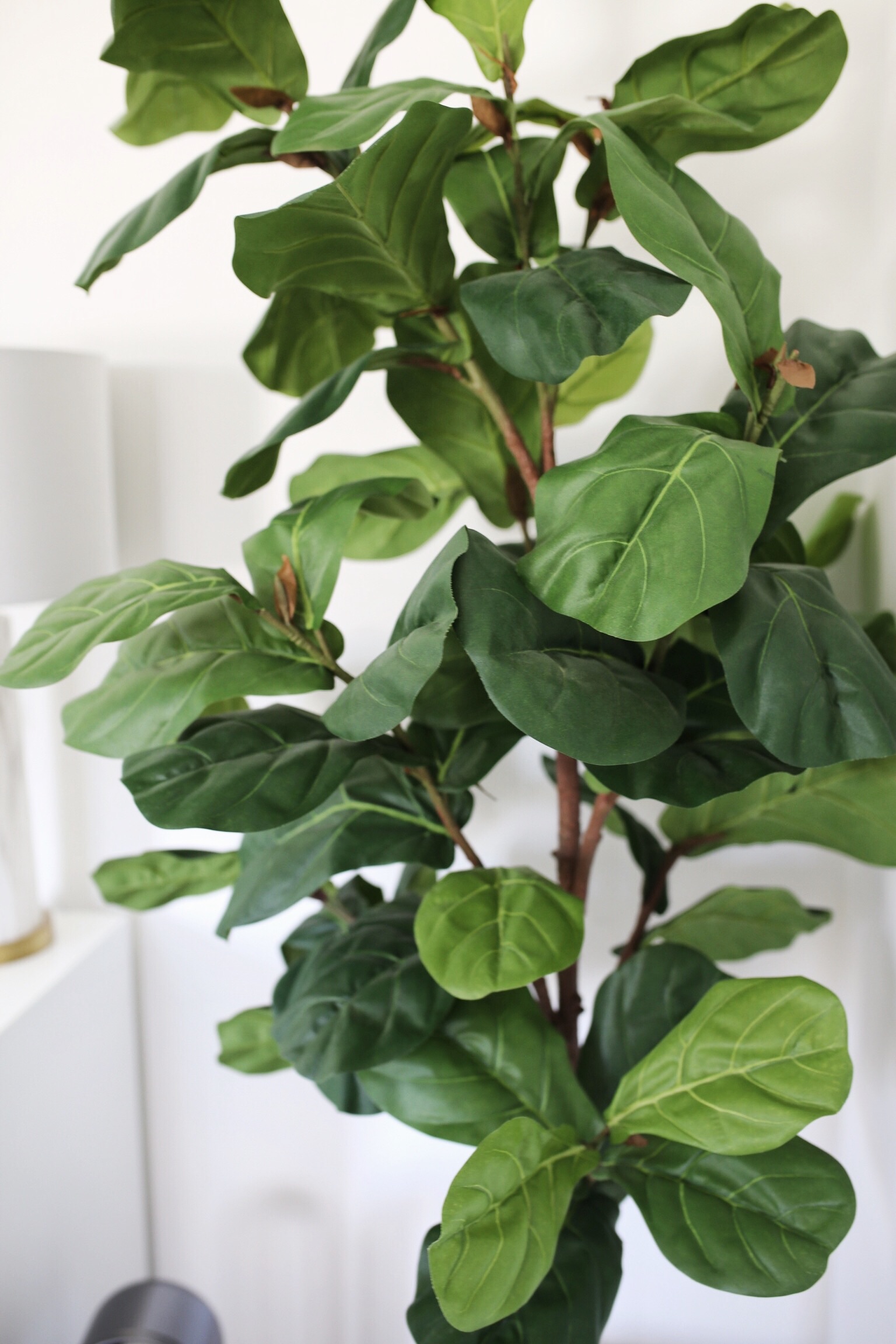 Best Fake Artificial Faux Realistic Plants that Look Real Fiddle Fig Tree
