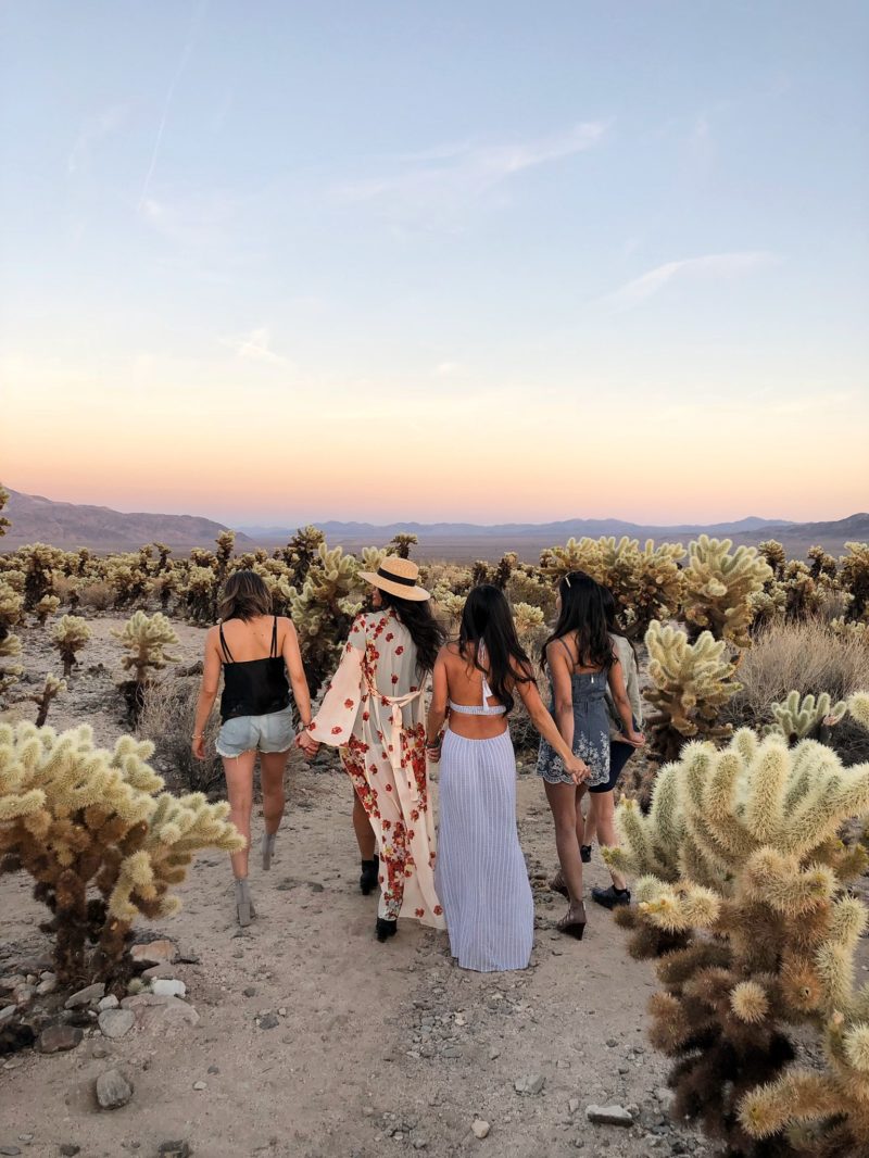 Most Instagram-Worthy Spots in Palm Springs Guide Joshua Tree