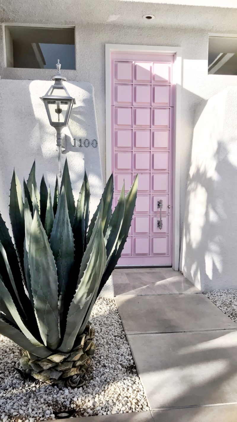 Most Instagram-Worthy Spots in Palm Springs That Pink Door