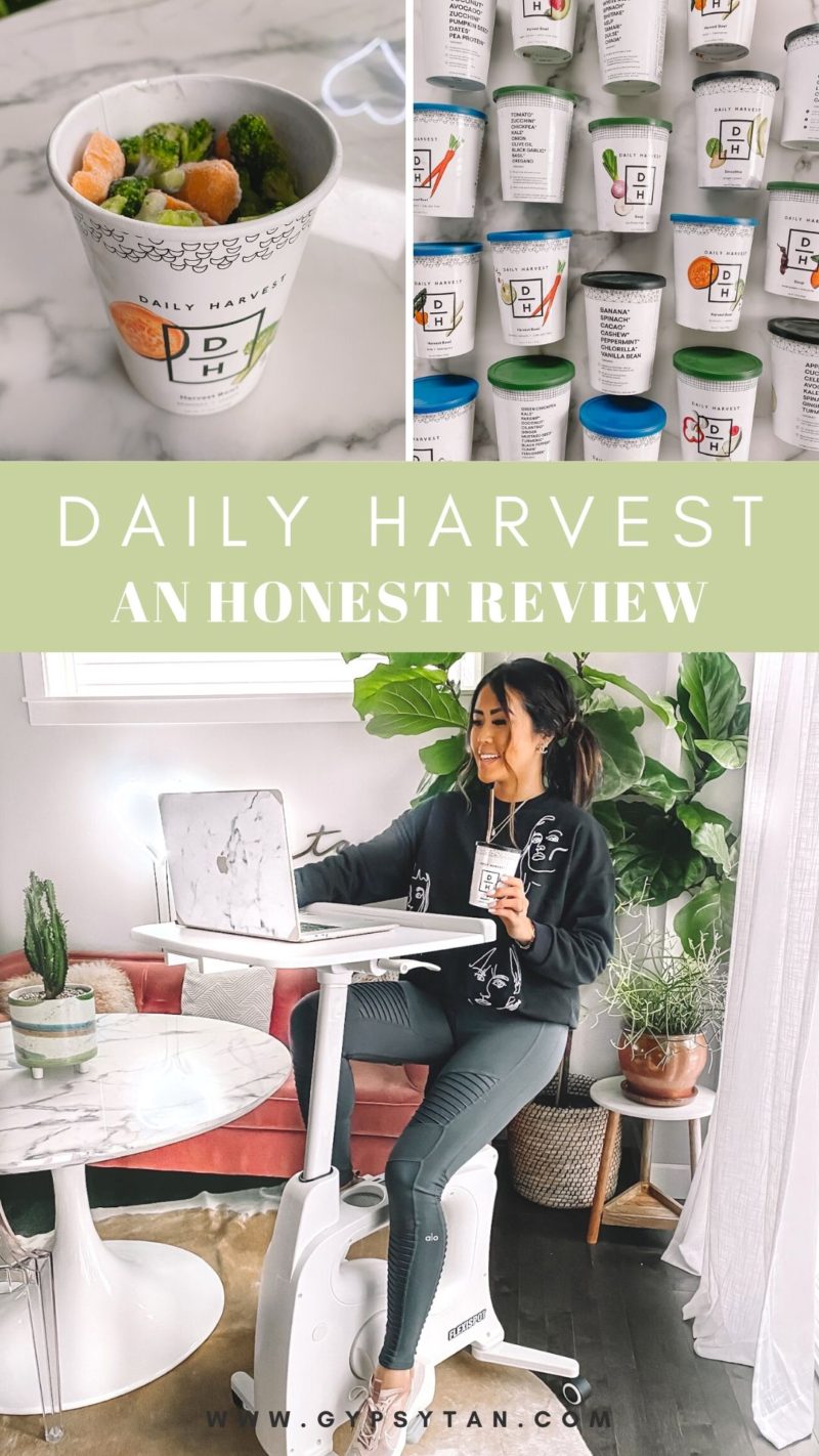 Daily Harvest Review and Discount Code - GYPSY for $25 off your first box