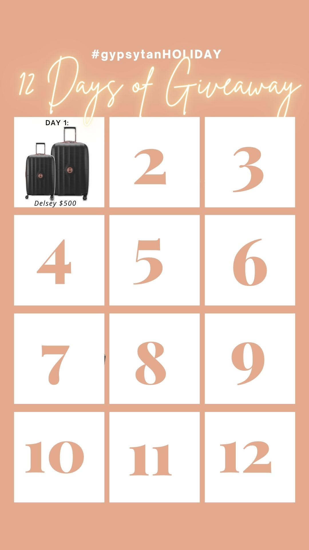 12 days of Giveaway - Delsey Luggage